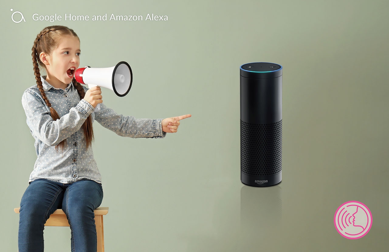 Google Home and Amazon Alexa