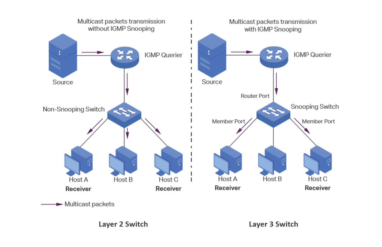 Strong L3 IGMP Snooping Multicast