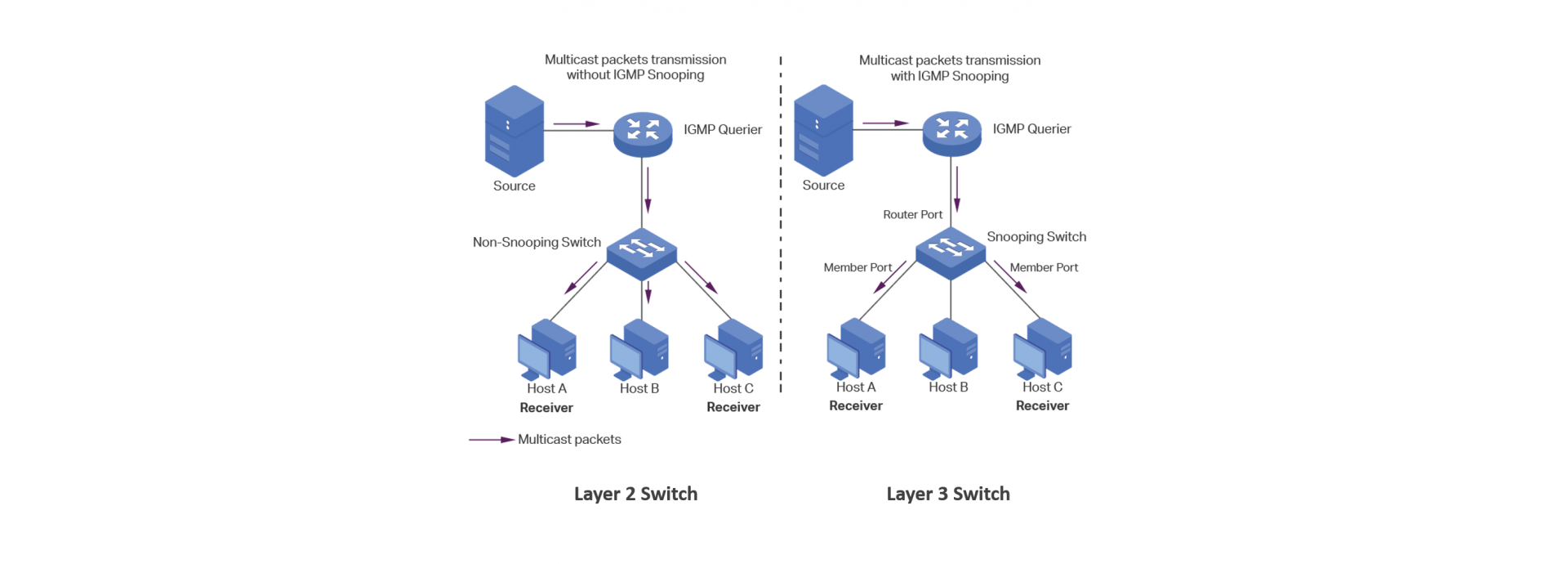 Strong L3 IGMP Snooping Multicast