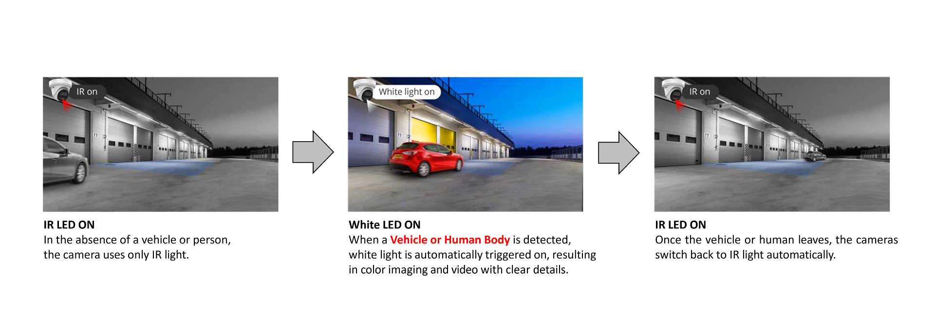Smart Dual Light